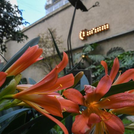 Casa Franca Recoleta Hostel Boutique 부에노스아이레스 외부 사진