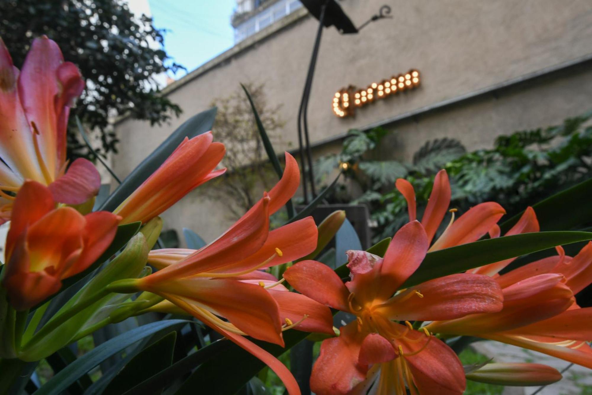 Casa Franca Recoleta Hostel Boutique 부에노스아이레스 외부 사진